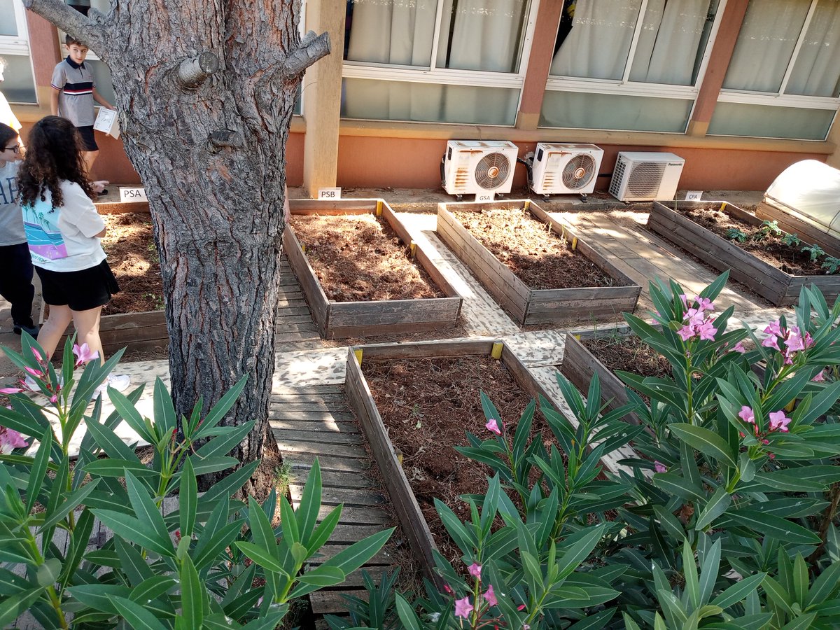 Lycée franco-libanais Nahr Ibrahim tweet media