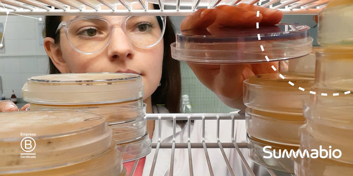 En Summabio, trabajamos con pasión para utilizar la ciencia y la innovación en beneficio de la agricultura sostenible.
🧪🧫🔬
16 de junio, día de la Biotecnología