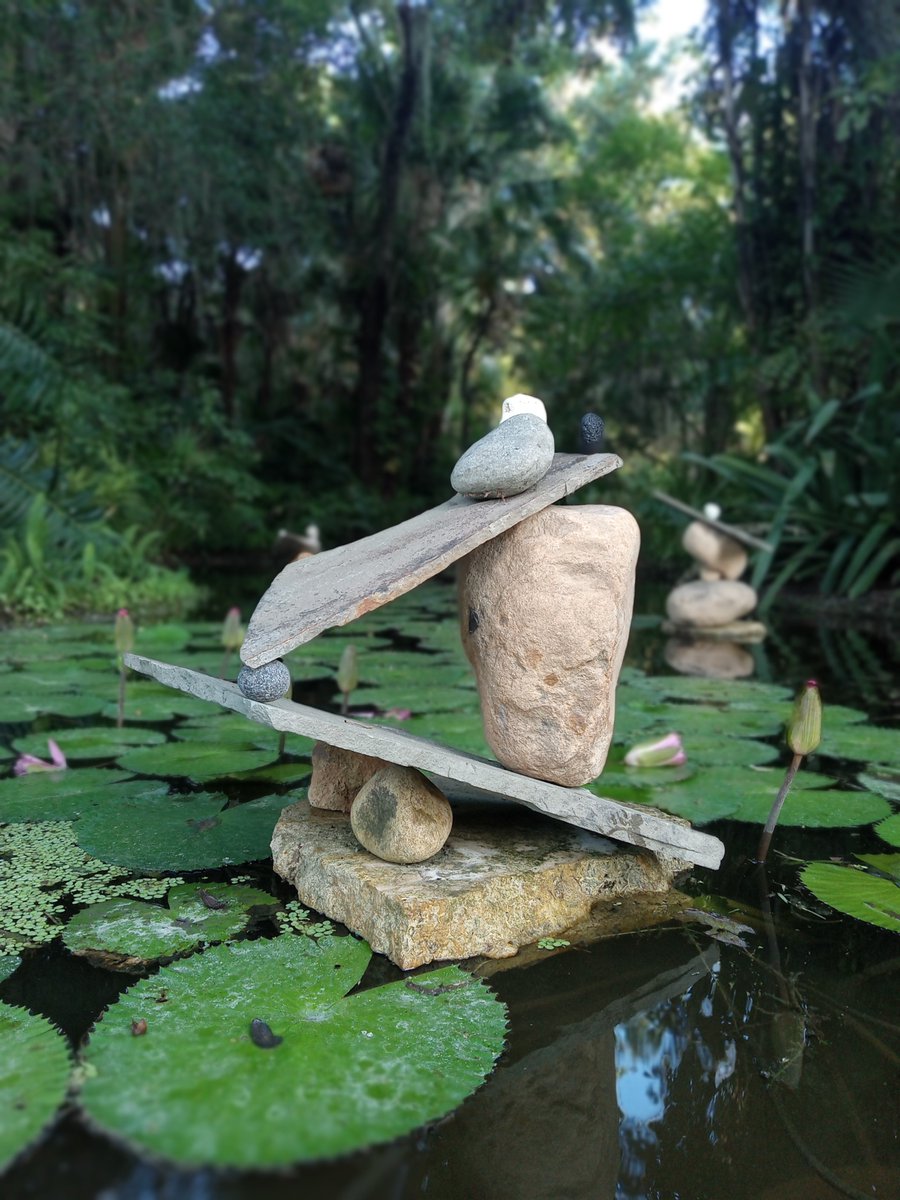 garden_mckee's tweet photo. DON’T MISS IT! The 18th Annual Waterlily Celebration is tomorrow, Saturday, June 17 from 8:30 am – 2 pm.  Admission:  $15 Adults, $13 Seniors (65+)/Youth (13-17), $10 Children (2-12). McKee members and children under 2 free.  350 US Highway 1, Vero Beach, FL  32962 | 772.794.0601 https://t.co/VUITRcnHz8