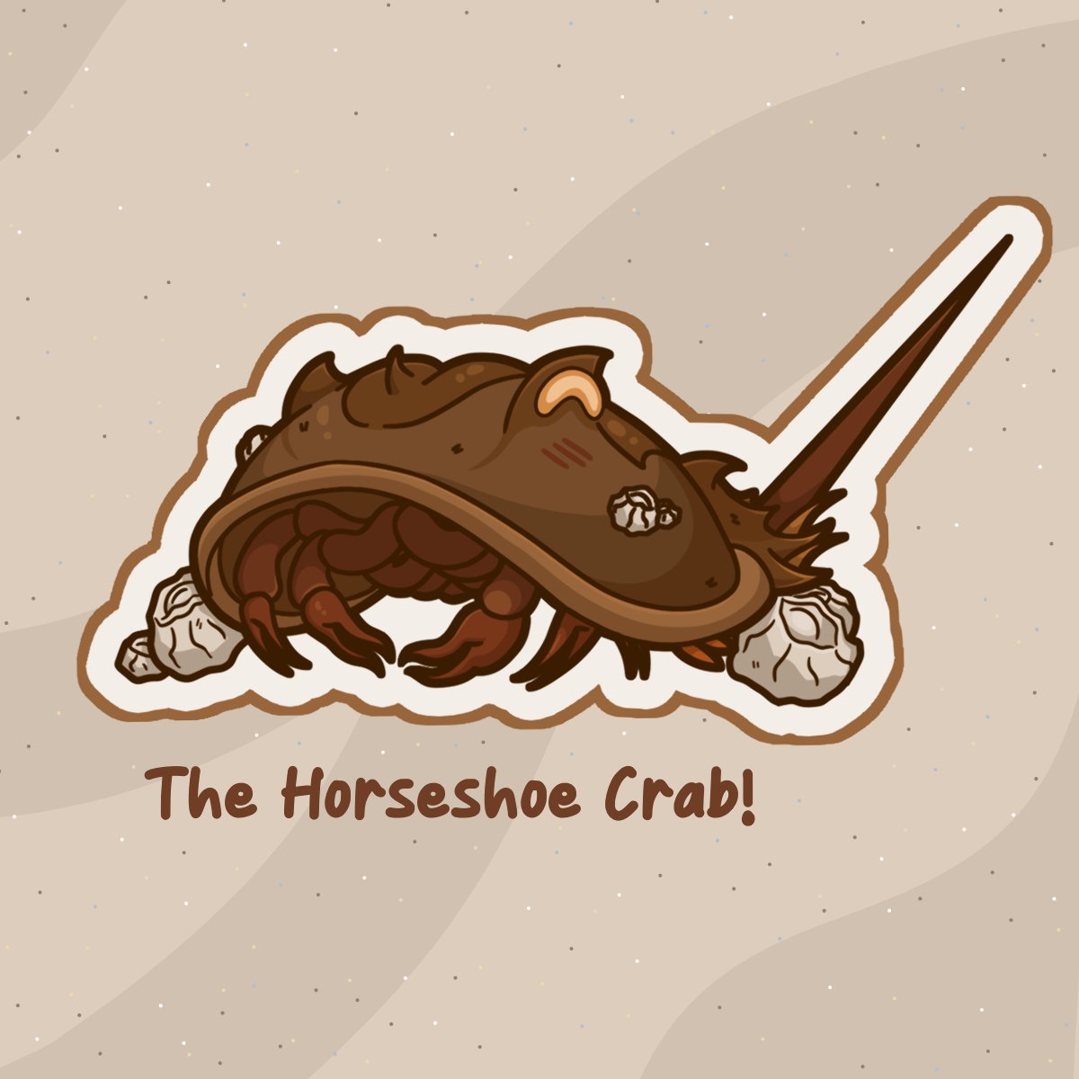 🐚 The Horseshoe Crab! 🐚

A closer look at Junes Crustacean of the Month Sticker design! 

Horseshoe Crabs are ancient marine arthropods that have been around for more than 300 million years! Today's Horseshoe Crabs aren't much different from fossils from 200 million years ago!