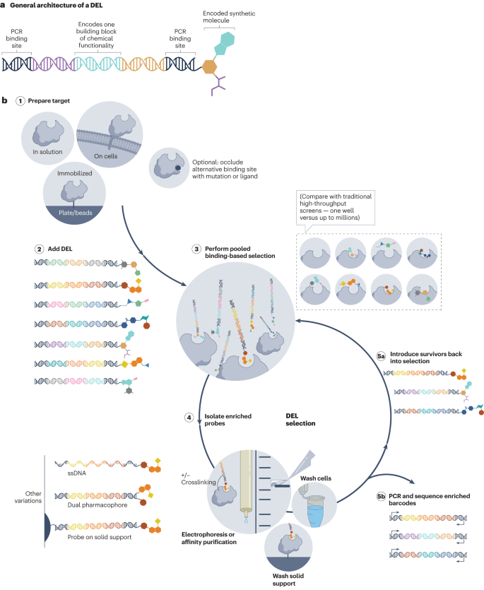 Nature Reviews Drug Discovery on Twitter "Smallmolecule discovery