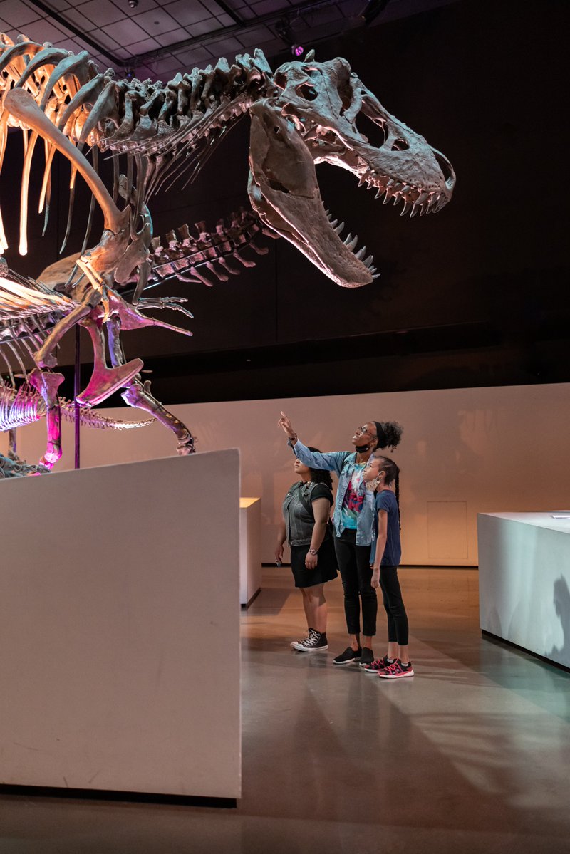 Juneteenth Weekend 😃

The Houston Museum of Natural Science will be open Monday, June 19 from 9AM - 6PM, plan your visit today!

Learn about Juneteenth and its significance in our nation's history here: visitgalveston.com/juneteenth-web…