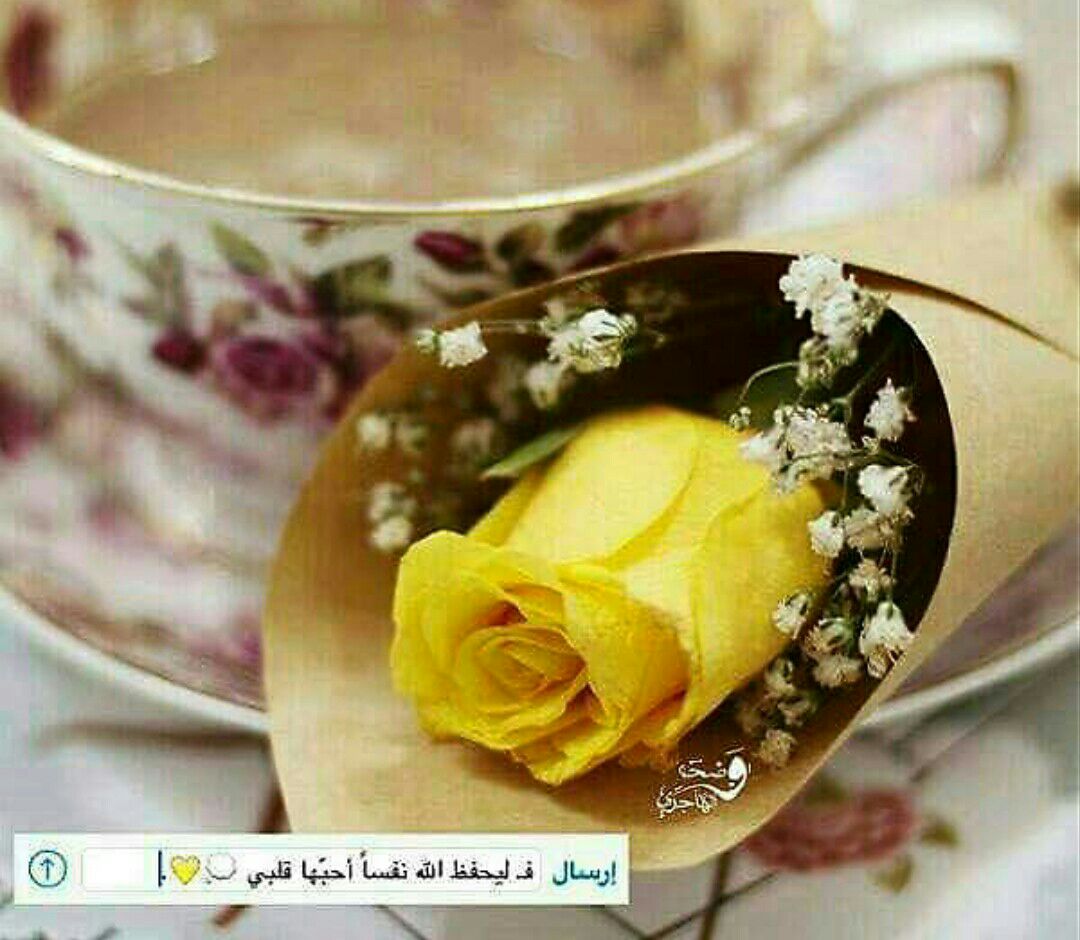AmelALOmah2012's tweet photo. لأنك نبضاً لقلبي، توأماً لروحي اجعلك في ودائع الله دائماً ليرتاح قلبي وبالي♥

يارب أسعد قلبهاواجعل مدائن الفرح عامرة بأفياء صدرها 
 💕
@SamiaAlslman ❤️ https://t.co/UufVNGCdNa