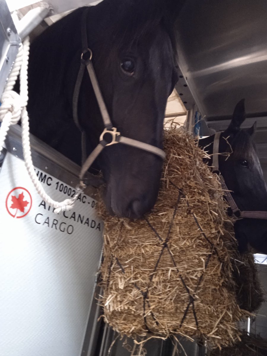 Dale Devine tweet media