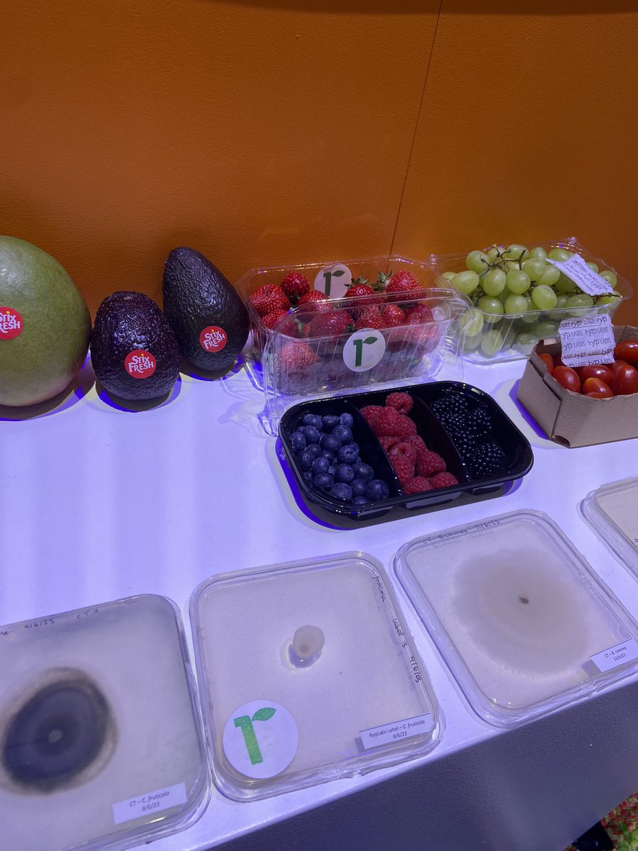AzahoumImane's tweet photo. Meilleure #innovation de @VivaTech, les patch @ryplabs1 qui permettent de conserver plus longtemps les fruits et légumes ! 🥑🥭 @EFAP_ https://t.co/NmOL6uzhXT