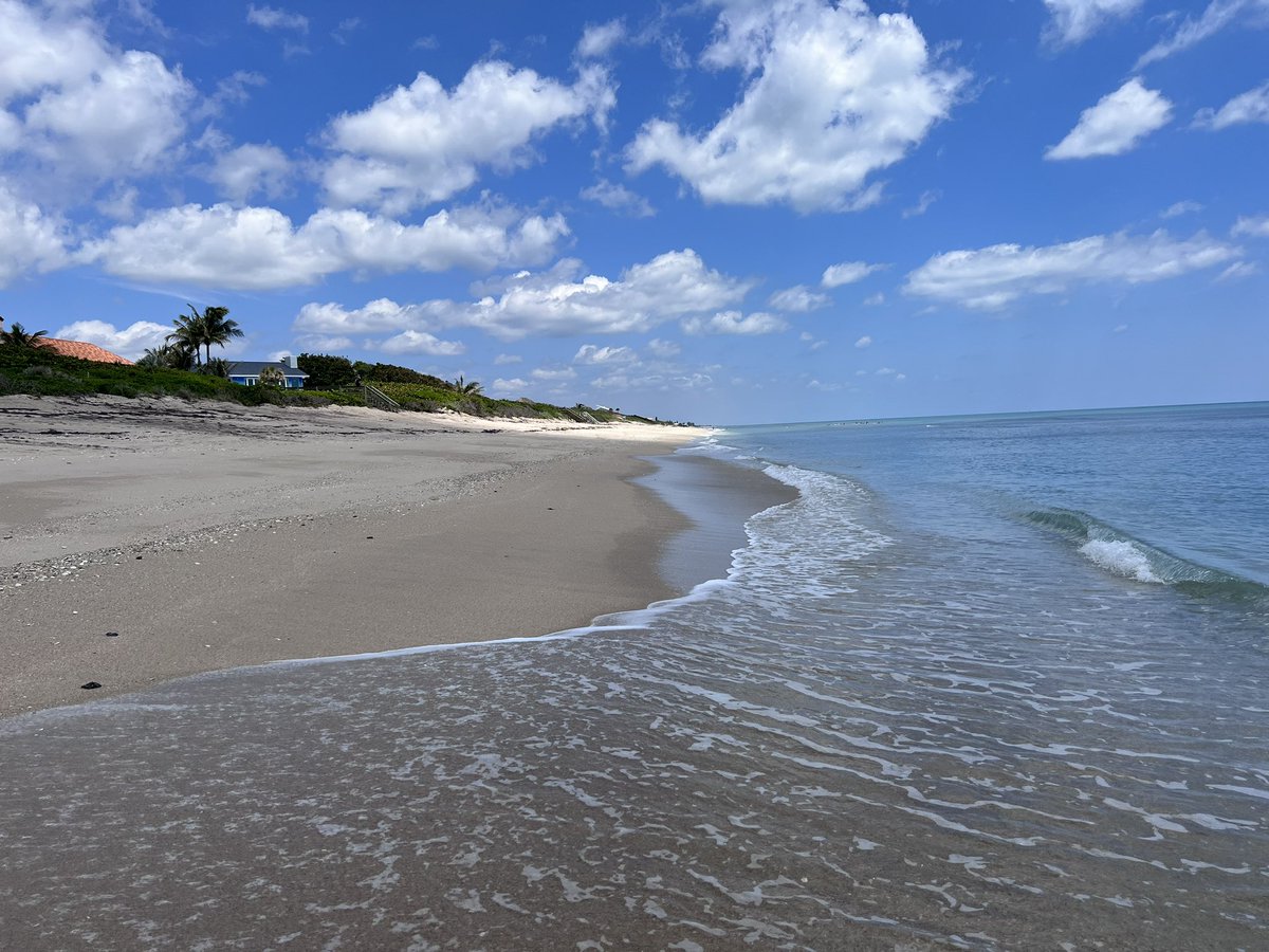 TanasTim's tweet image. Just returned from our 50th anniversary get away.  We had a bungalow on the beach.  Sea Turtles were nesting at night.  We saw their tracks from the ocean to the beach where they would lay their eggs.  Great getaway!!!