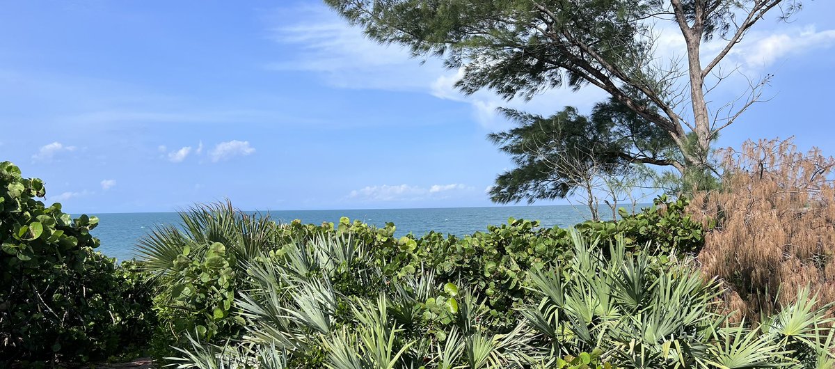 TanasTim's tweet image. Just returned from our 50th anniversary get away.  We had a bungalow on the beach.  Sea Turtles were nesting at night.  We saw their tracks from the ocean to the beach where they would lay their eggs.  Great getaway!!!