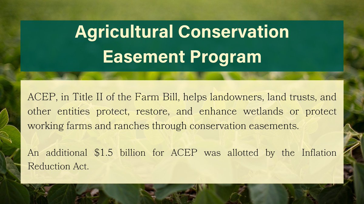 ILSoybean's tweet photo. It's #FarmBillFriday
ACEP was introduced in the 2014 Farm Bill as a consolidation of three separate easement programs. It is divided into two tracks - the Wetland Reserve Easement (WRE) and Agricultural Land Easement (ALE).
For more information visit https://t.co/SwiHOaVL7M https://t.co/zXgETRTyW8