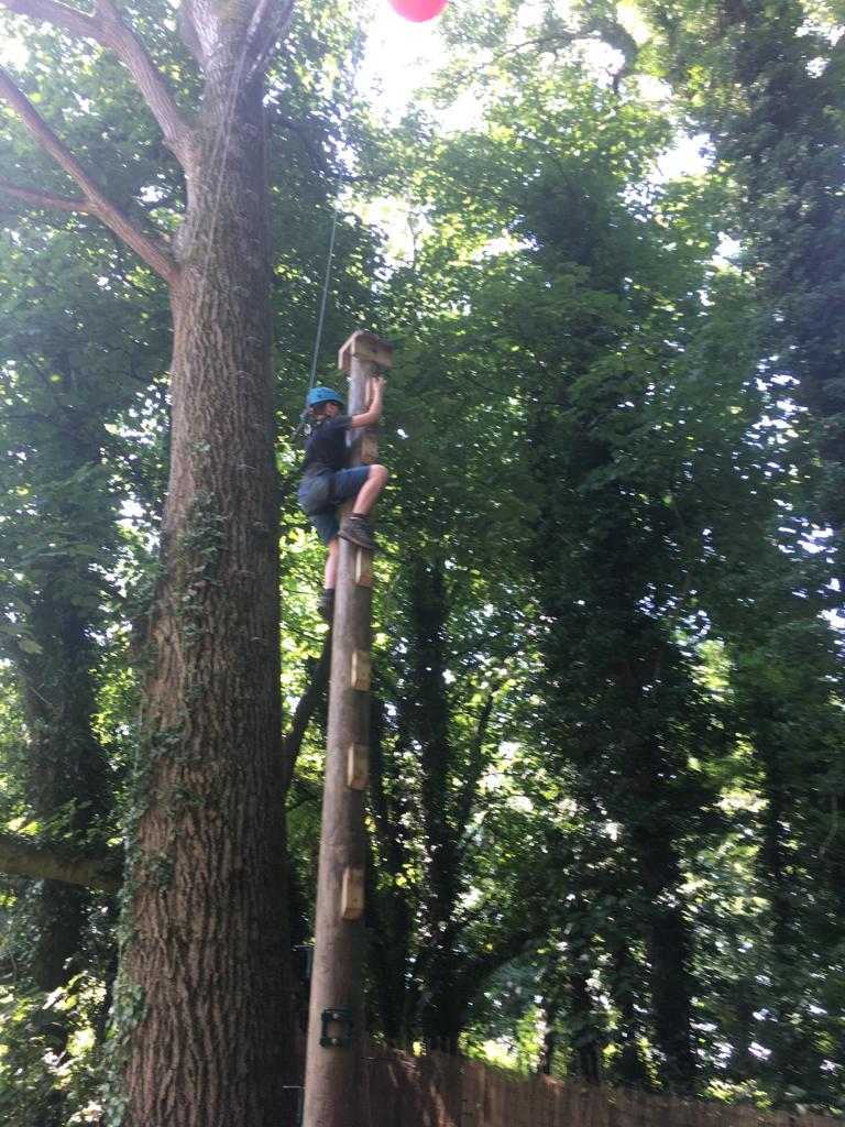 St Leonard's School (@langhostleonard) on Twitter photo 