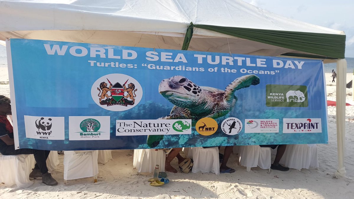 Coastal Cities are expanding to beaches &amp; releasing plastic waste threatening marine life. We created awareness &amp; released 140 turtles hatchlings at Earlybird Banda, Mombasa Beach with
<a href="/KWSKenya/">Kenya Wildlife Service</a>
<a href="/HassanBwanamkuu/">hassan bwanamkuu</a>
<a href="/comred_/">COMRED</a>
<a href="/MijiBora/">Miji Bora Project</a>
<a href="/Sen_Faki001/">Hon. Mohammed Faki Mwinyihaji</a> 
<a href="/WRTIKenya/">Wildlife Research & Training Institute</a>
&amp; partners