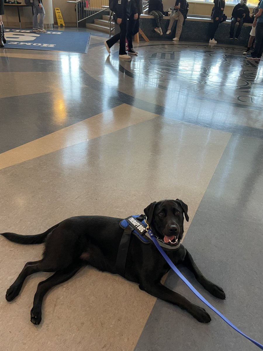 Brian Wilson tweet media