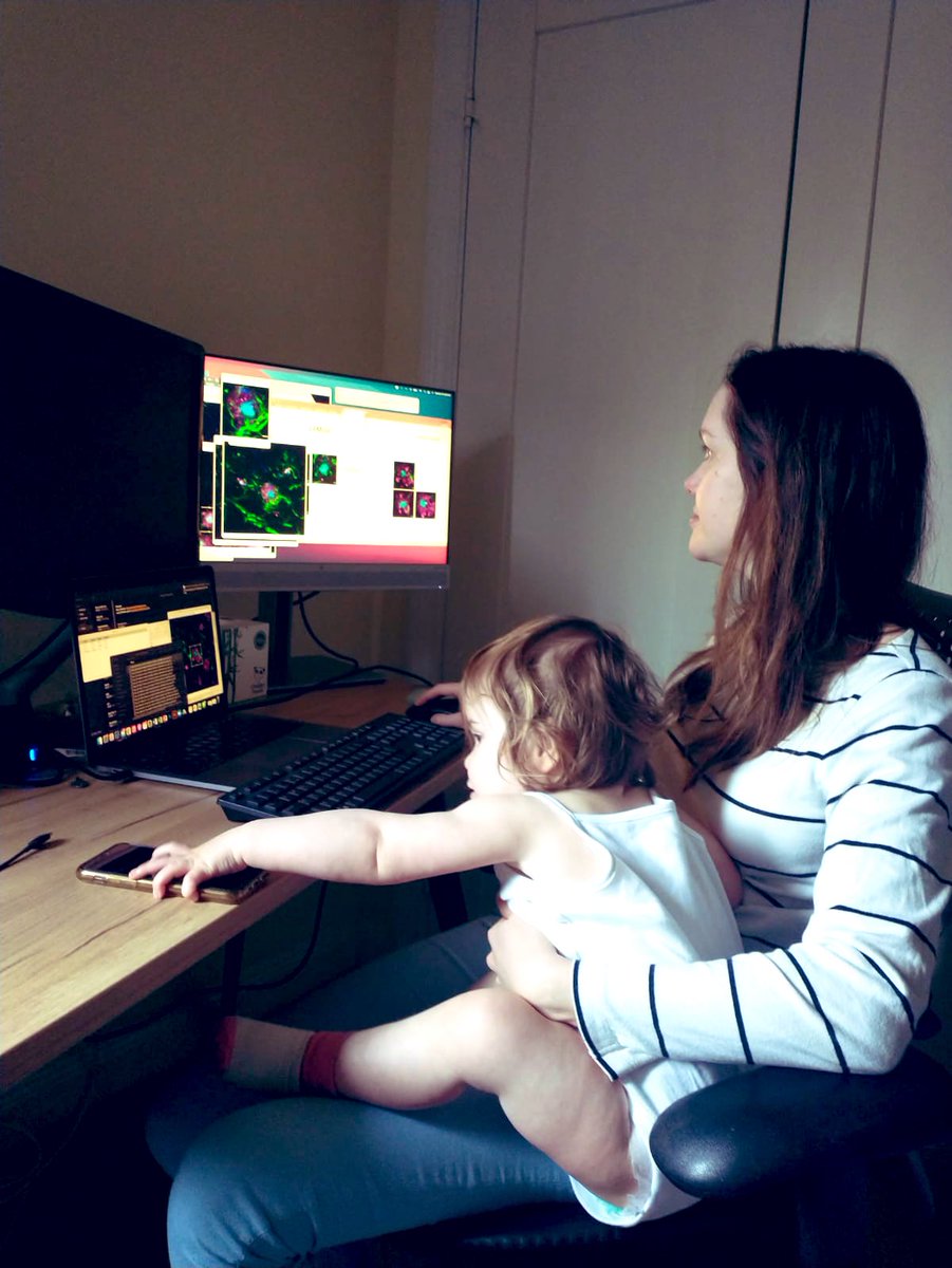 Terri Stephen (@drterristephen) on Twitter photo Working before and after baby #microscopy #FluorescenceFriday
<a href="/Momademia/">Academic Mom, PhD</a>
Imaging GFAP astrocytes and amyloid plaque contacts 🌟 🧠 🔬 Working before and after baby #microscopy #FluorescenceFriday
<a href="/Momademia/">Academic Mom, PhD</a>
Imaging GFAP astrocytes and amyloid plaque contacts 🌟 🧠 🔬