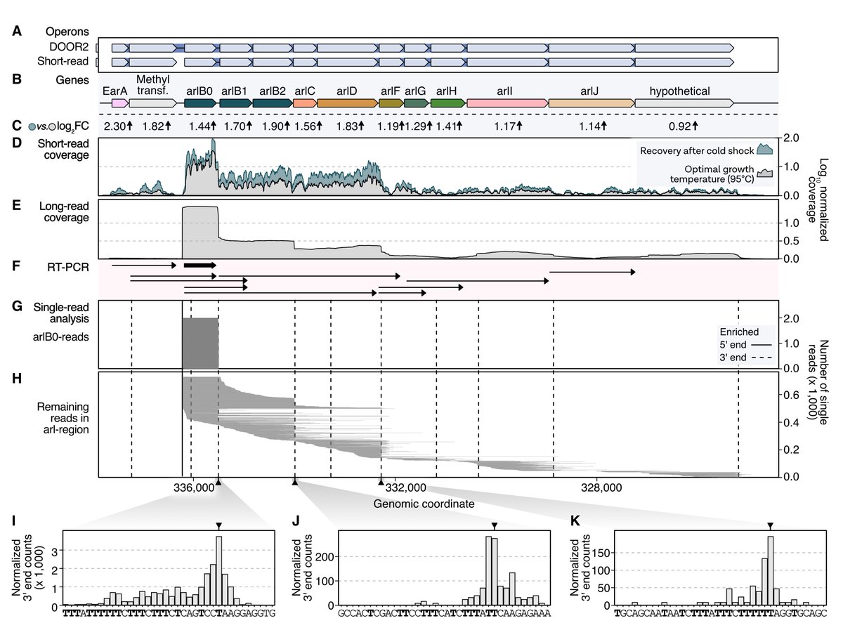 Felix Grünberger tweet media