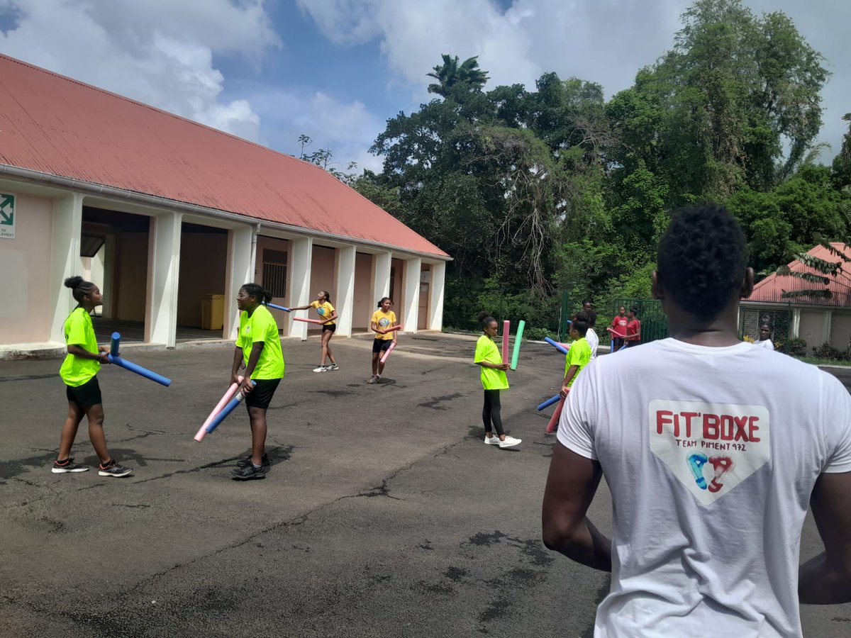 Collège Edmond Lucien Valard de Saint-Esprit tweet media