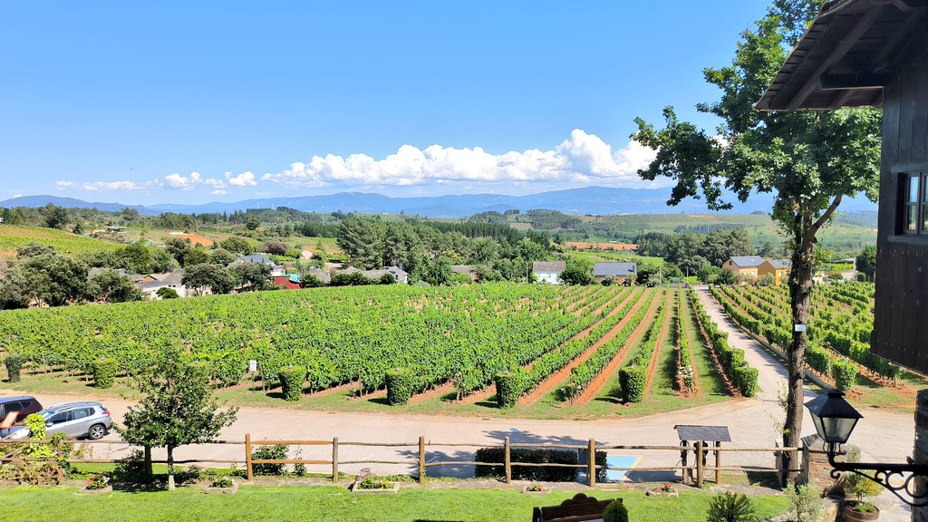 Ayer nuestros compañeros tuvieron una mañana muy interesante. Visitaron el castillo de Cornatel, las Médulas, probaron los vinos de la <a href="/DOBierzo/">C.R.D.O. Bierzo</a> y comieron en <a href="/PRADAATOPE/">PRADA A TOPE</a> #Paisajes24