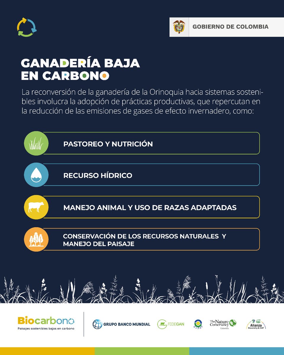 La #GanaderíaBajaEnCarbono es una alternativa sostenible para la Orinoquia. Conozca algunas prácticas productivas que están replanteando la ganadería convencional a una que reduzca emisiones de gases de efecto invernadero. 

Amigo ganadero: usted también puede ponerlas en