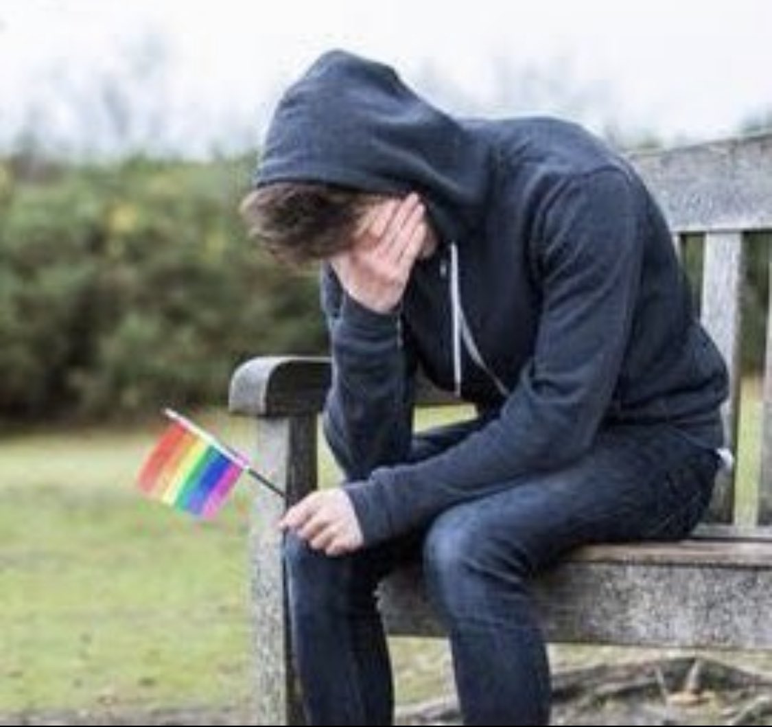 the show:                      the fans: