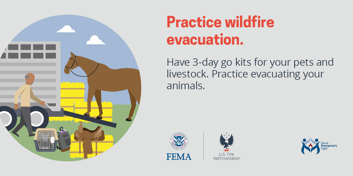 If you need to evacuate for a wildfire, take the time during #PetPreparednessMonth to plan for EVERY member of the family! 🐶🐱🐇🐴🦜🐢🐍🦎