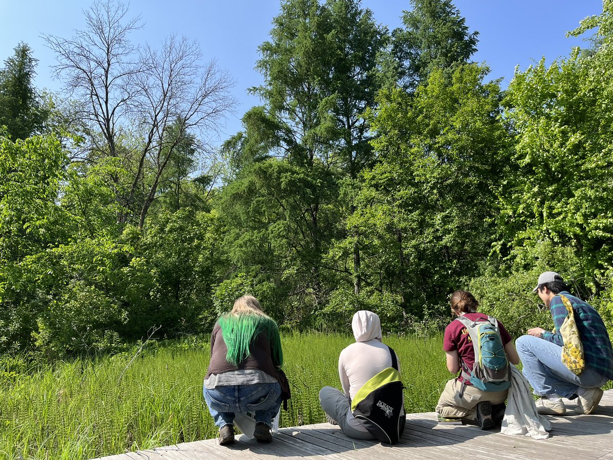 Diego Paredes-Burneo tweet media