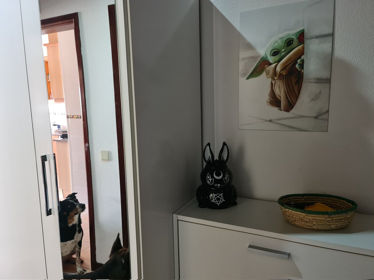 Ângela Ookami 🐺👻 tweet media