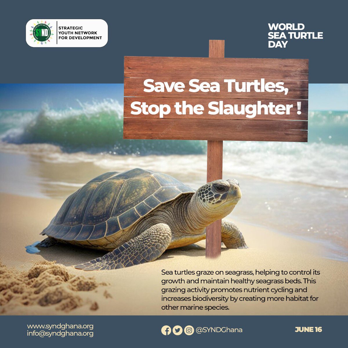 Today marks #WorldSeaTurtleDay, and it is important to remind ourselves that sea turtles are guardians of our oceans, playing vital roles in maintaining healthy #marineecosystems. They graze on seagrass, control jellyfish populations,  However, their existence is under #threat.