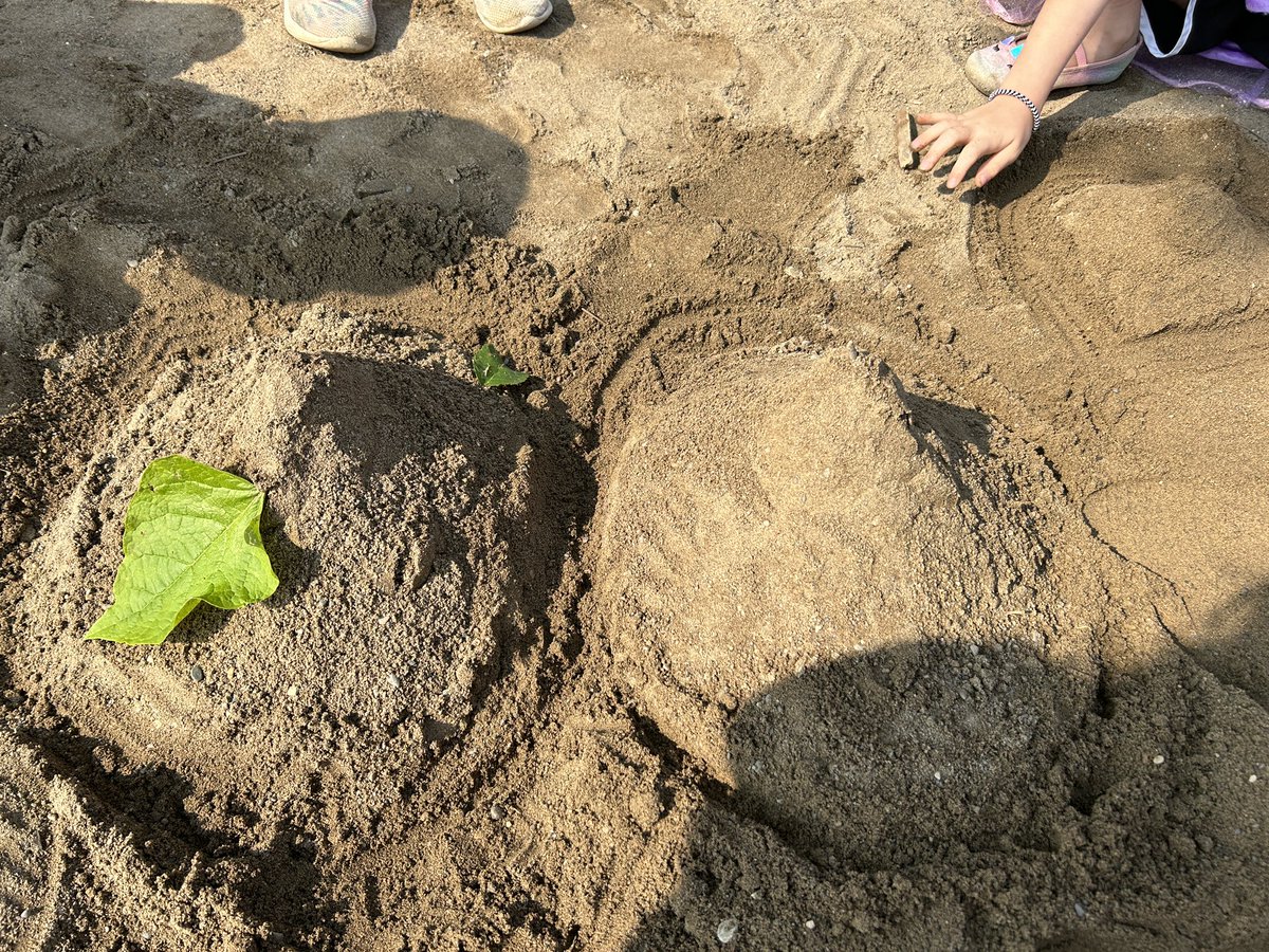 Pickersgill JK/SK tweet media