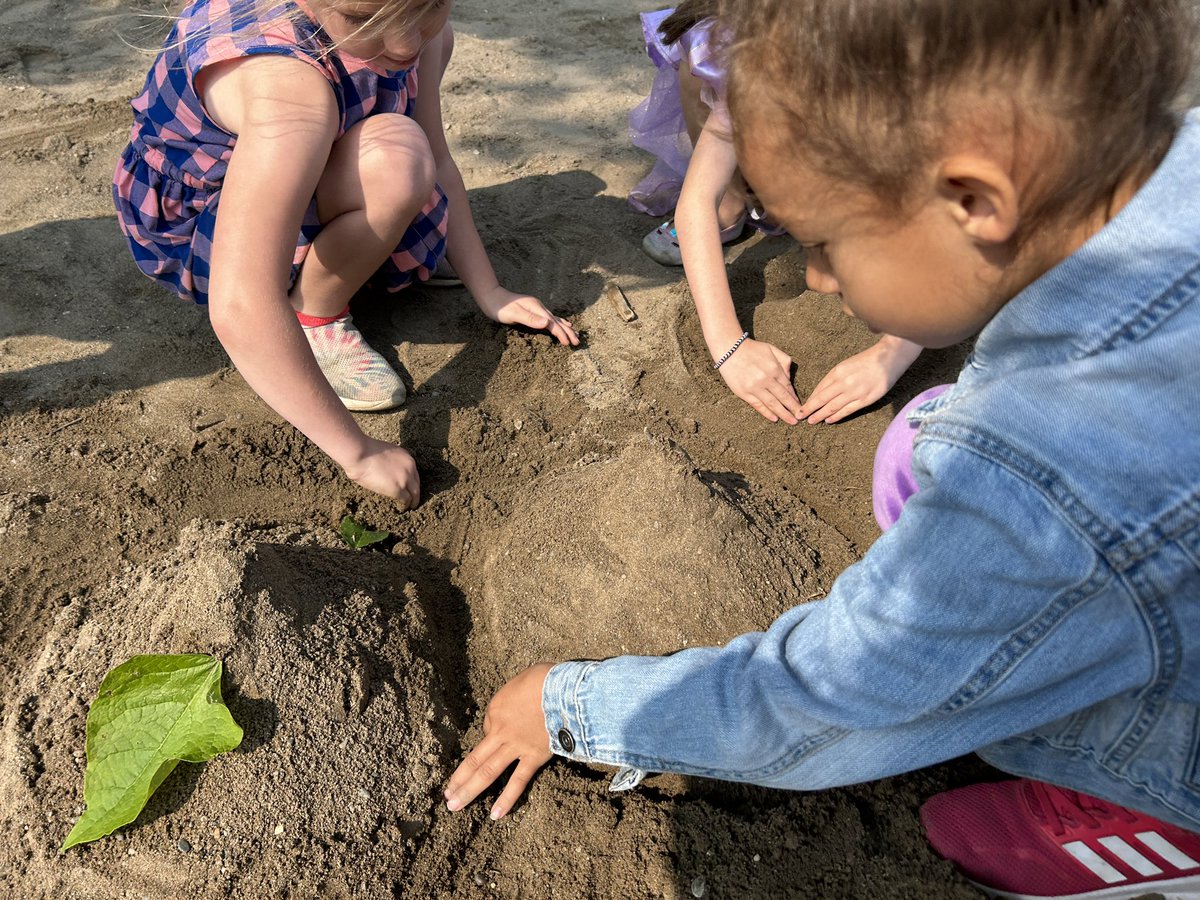 Ant hill inspired creations.