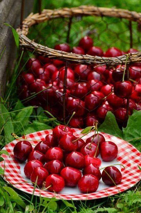 Cherries🍒😋