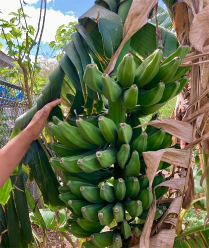 Civil Eats tweet media