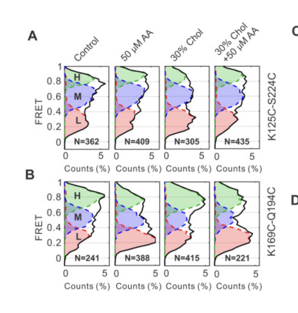 💡 Really impressive work from Shuo Han et al in the Jeff Wang lab

Up to 20 % of 💊 drug targets are #IonChannel and this paper highlights why #smFRET is perfect for elucidating their #ConformationalDynamics dependent mechanisms

jbc.org/action/showPdf…
#Biophysics #Lifesciences