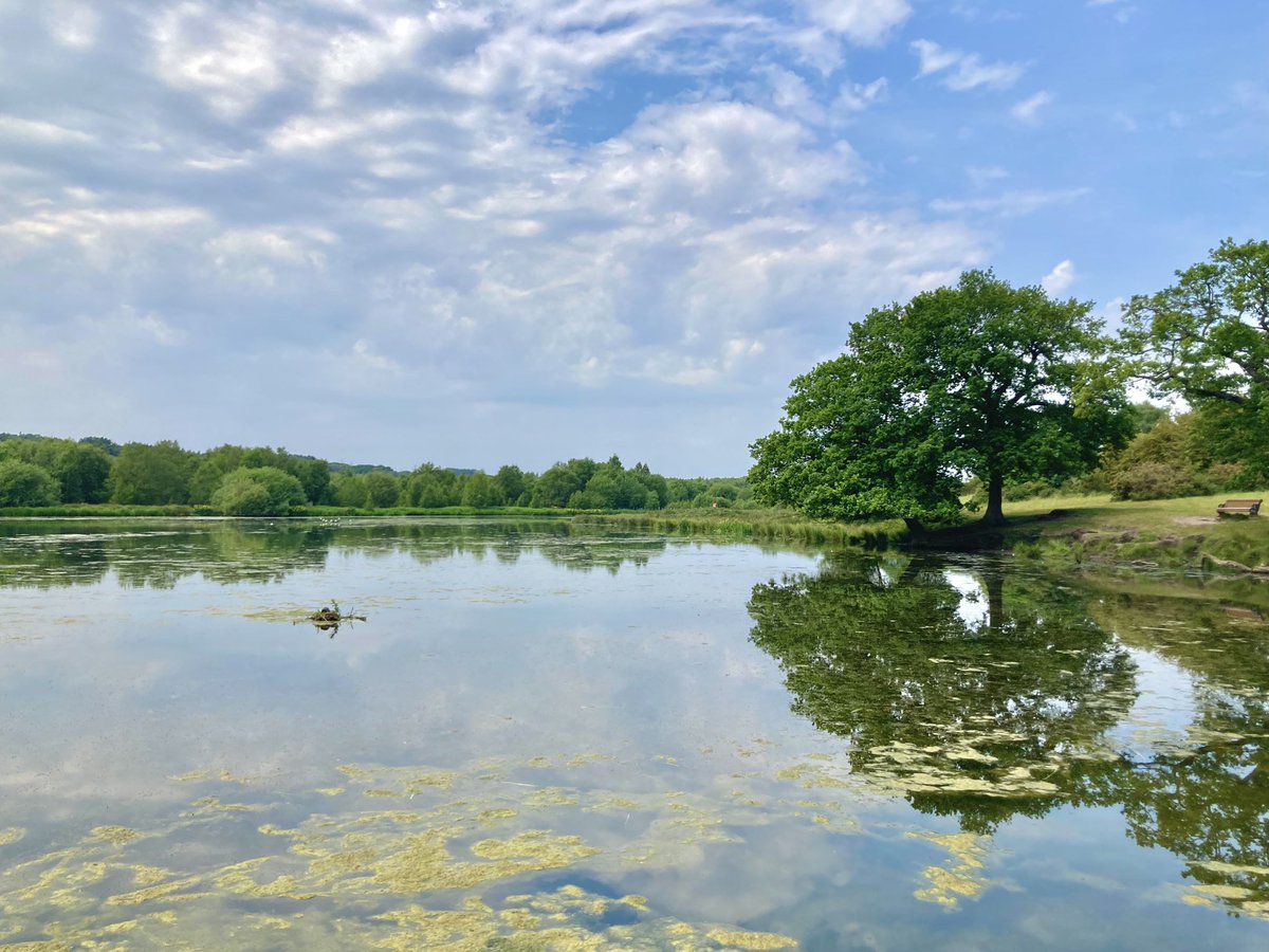 Photo of the Week 📸 

Could be a painting 🖼️ thankyou June heatwave 😍

#pictureperfect #suttonpark #birmingham #reflection #blueskies #summer #photooftheweek #photography