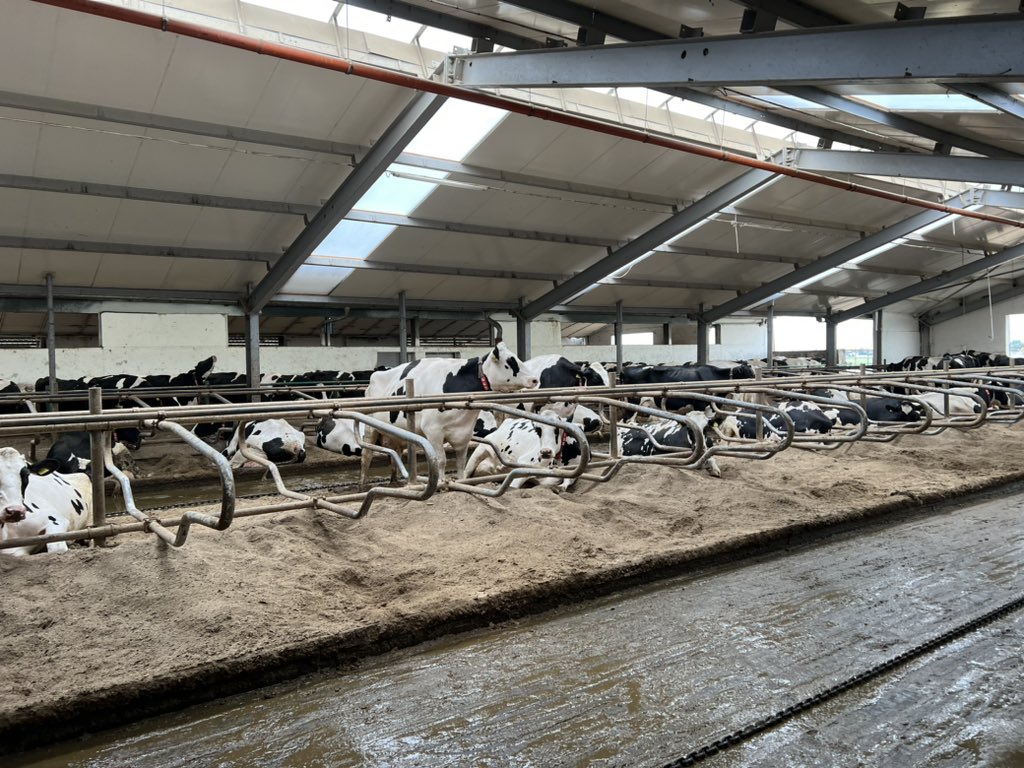 Paul Barnes tweet media