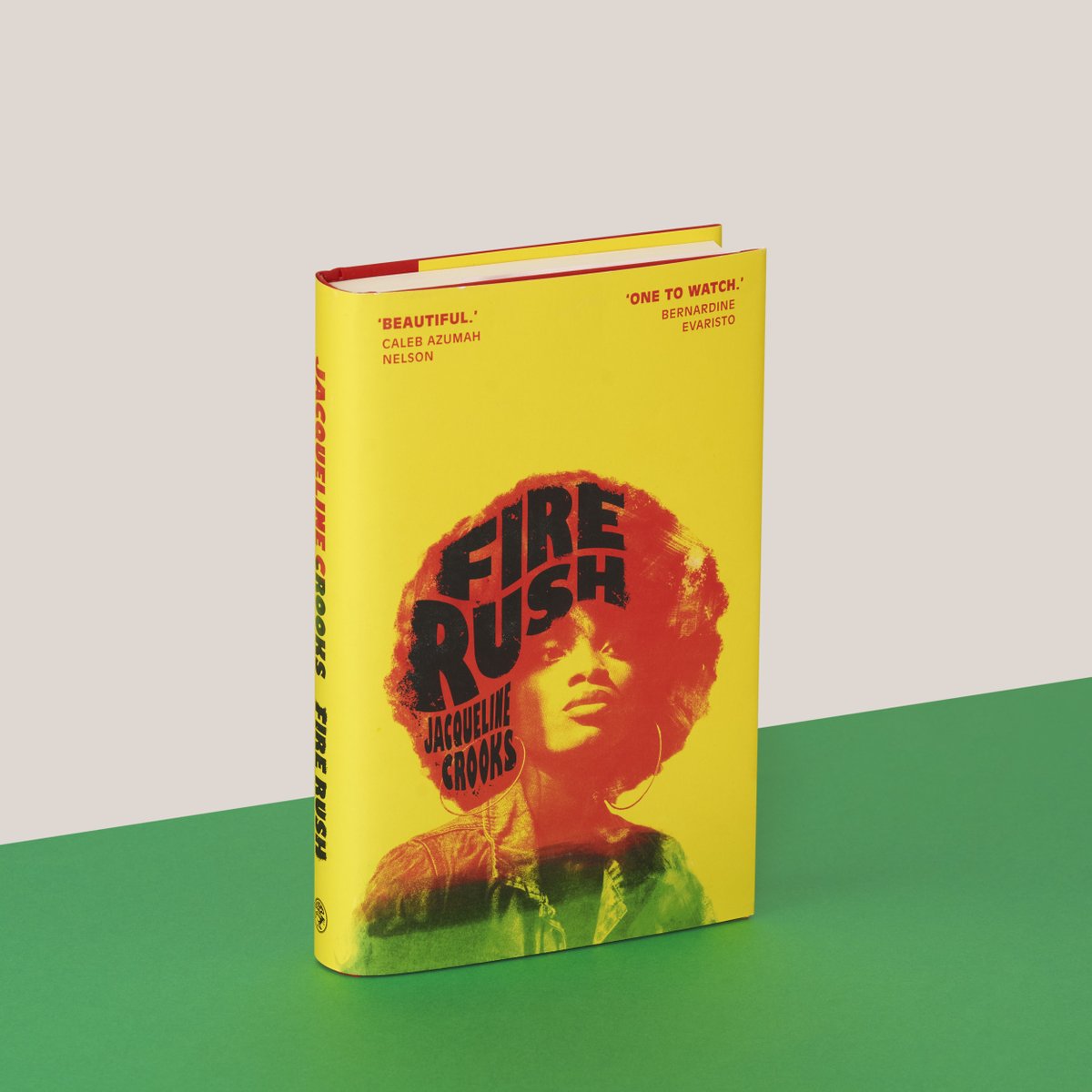 PenguinUKBooks's tweet image. ‘Man preach revolution, but woman carry its sound.’

Be transported to the gritty world of 1970s London with #FireRush, the electrifying debut novel by @Luidas, shortlisted for this year's Women's Prize for Fiction: bit.ly/42hdGdc