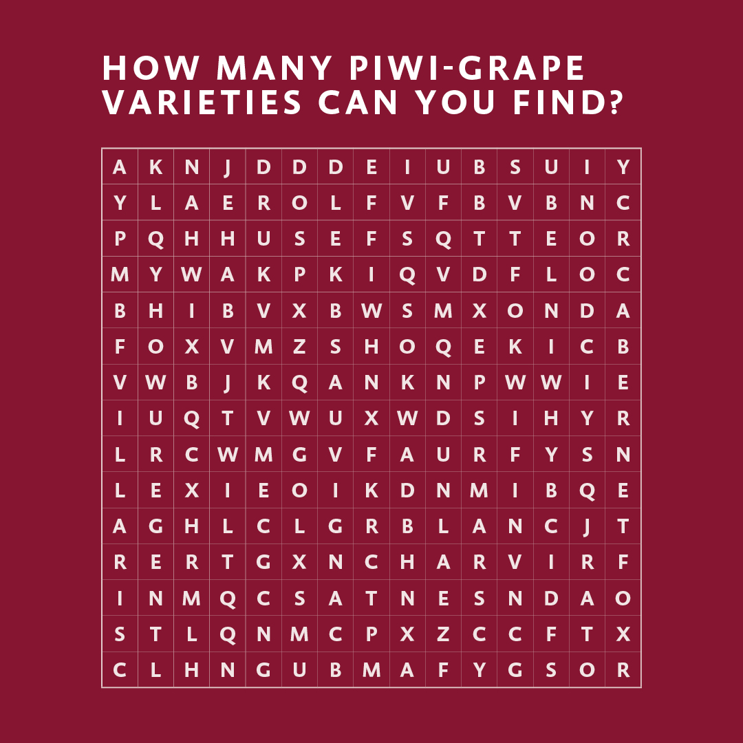 Can you find all six PIWI grape varieties in the following word search puzzle? 🤓 An important topic in the wine industry and therefore also at #ProWein2023 – PIWIS! 🍇 #prowein #prowein2024 #proweintradefair #winebusiness #wineprofessionals #winetasting #wineshop #winetrends