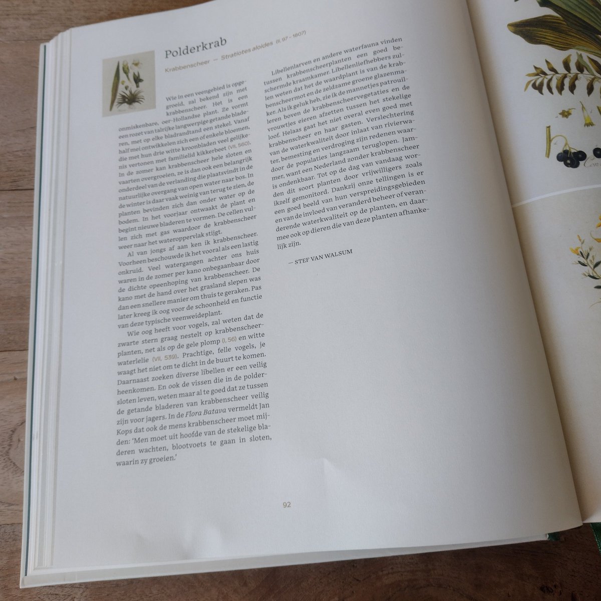 Wow, wat een boek! De gloednieuwe Flora Batava lag in de brievenbus (spreekwoordelijk, want daar past het echt niet in..!). Vereerd dat ik er een bijdrage aan mocht leveren. Gefeliciteerd <a href="/norbert_peeters/">Norbert Peeters</a> en Esther van Gelder, het is een prachtig boek geworden.