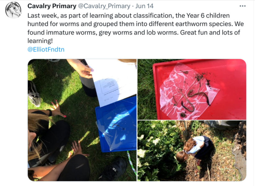 ElliotSchools's tweet photo. It was #CleanAirDay yesterday, but it's worth learning more about our environment any day... 

@Cavalry_Primary @JLAcademy1 @Highlees @George_Betts #ukedchat #InspiringSchools #inquiryed https://t.co/YuPNPz4LZu
