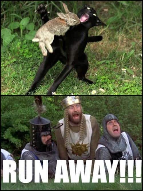 Beware of Bunnies! #MontyPython
