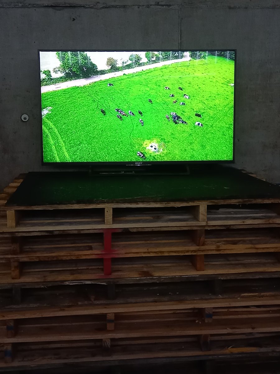 MoloneyKevin's tweet photo. Ready to go here for our farm visit from Knockanore N.S.  All the local farmers sponsoring @kgkshamrocksgaa will explain where our nutritious food comes from. Big thanks to all our neighbours and friends for their help setting up https://t.co/cyN4wzZhus