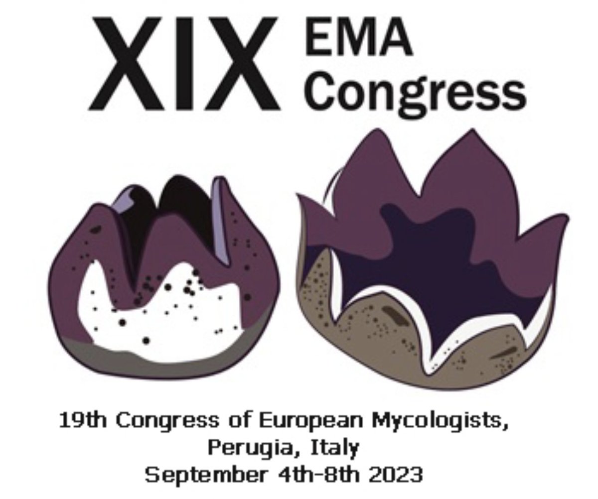 ECCF #FutureForFungi tweet media