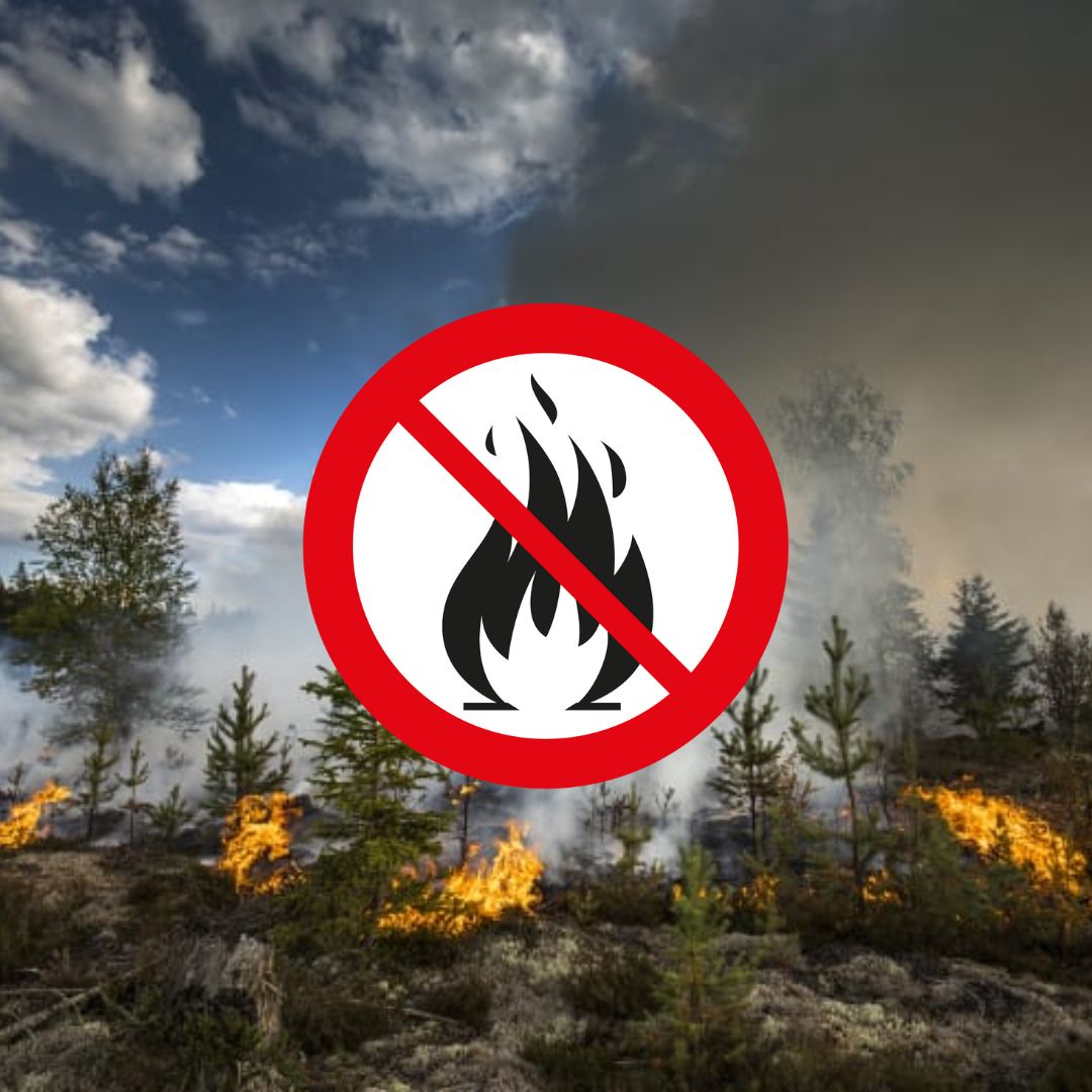 MCF_Sverige's tweet photo. Med anledning av de extrema brandriskerna i stora delar av landet uppmanar MSB allmänheten till försiktighet vid aktiviteter med eld eller gnistor. En liten gnista kan skapa en stor brand. Följ de eldningsförbud som utfärdats på många håll i landet. 
https://t.co/7wSgCUnjiI https://t.co/piP6UE1P2K