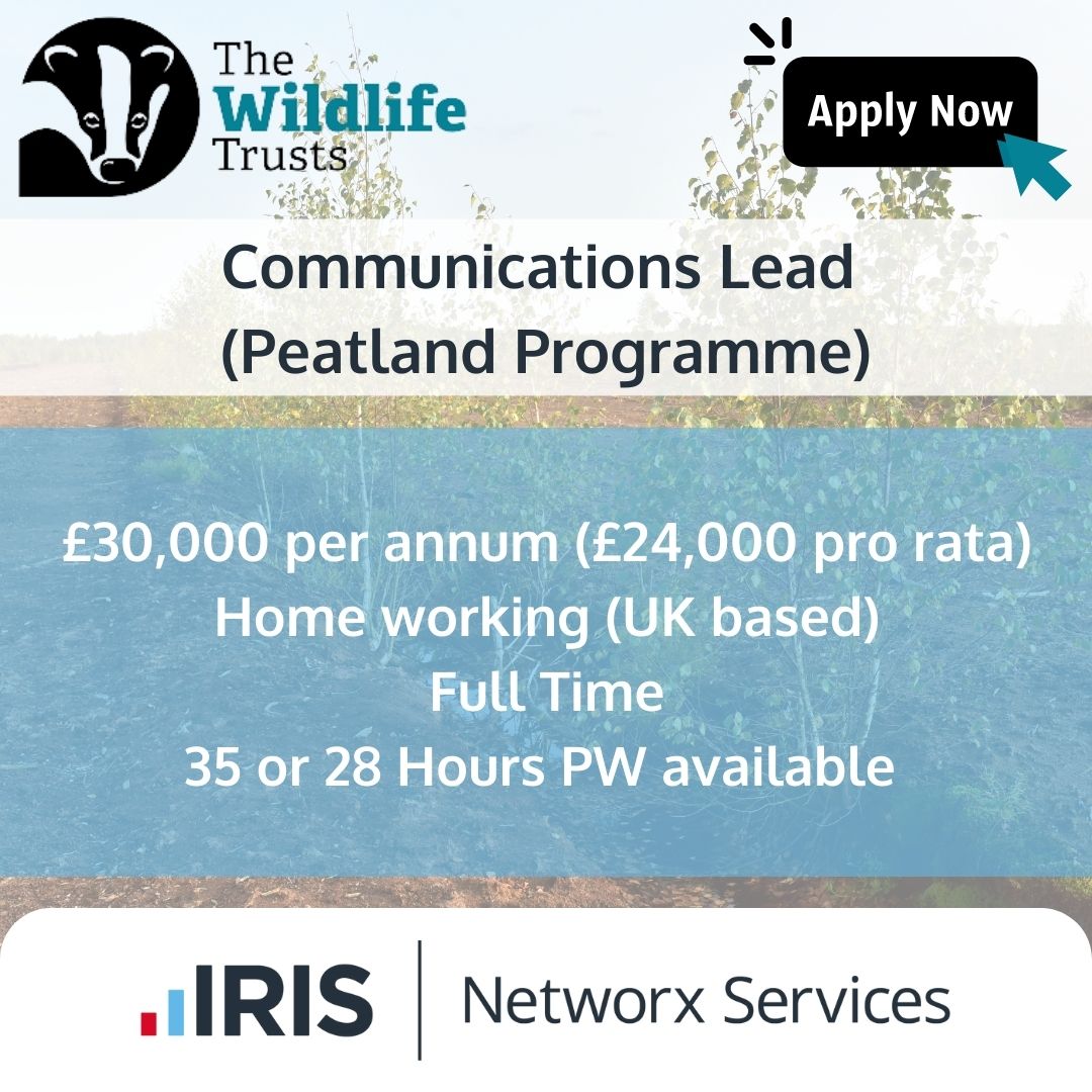 The Wildlife Trusts are looking for a Communications Lead to join them!

Interested? Apply now!

networxrecruitment.com/Jobs/Advert/31…

#hiring #recruitment #jobsearching #Peatland #Wildlife #Nature #RemoteJobs #Communicationsjobs #CommunicationsOfficer #Communicationslead #PRjobs