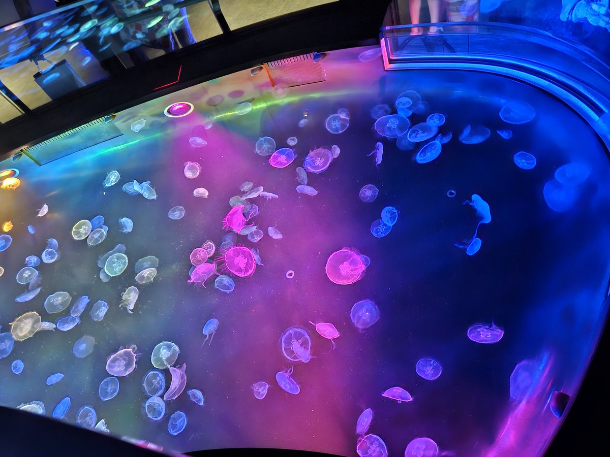 今週の火曜日東京ソラマチ行ってきたよん
その時の写真1枚だけ載っけとく😊