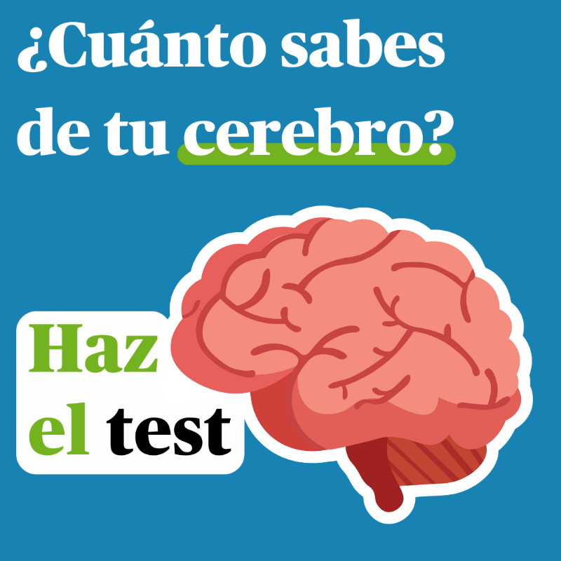 fpmaragall's tweet photo. 🤓 10 datos y curiosidades increíbles sobre nuestro cerebro 🧠 ¿Habías escuchado alguna?