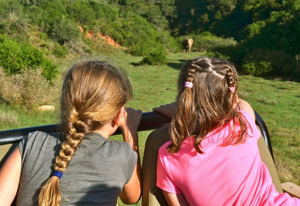 Amakhala Reserve tweet media