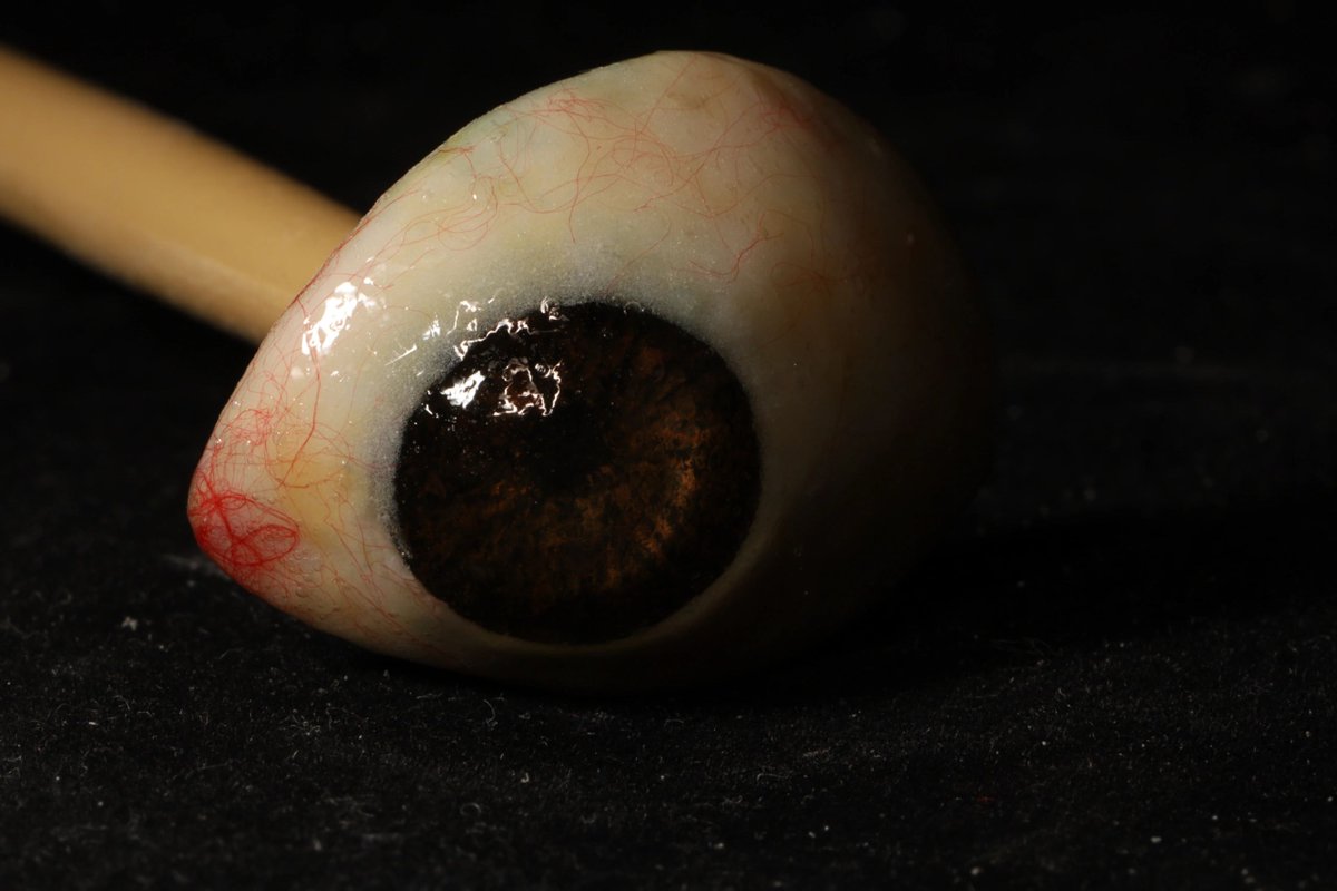 SEEprosthetics's tweet photo. Ocular prostheses are custom made and hand painted to match your existing eye, or with any design of your choosing. Visit https://t.co/AFok6MhmaV for info about our ocular prosthetic services and more! 

#prosthetics #prosthesis #artificialeye #falseeye #ocular #prosthetic https://t.co/sR2gxNfzO8