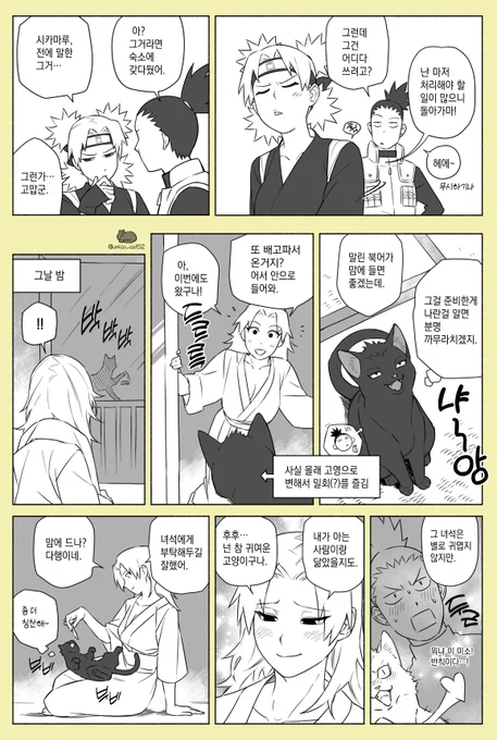 고양이 랑데부🐈‍⬛