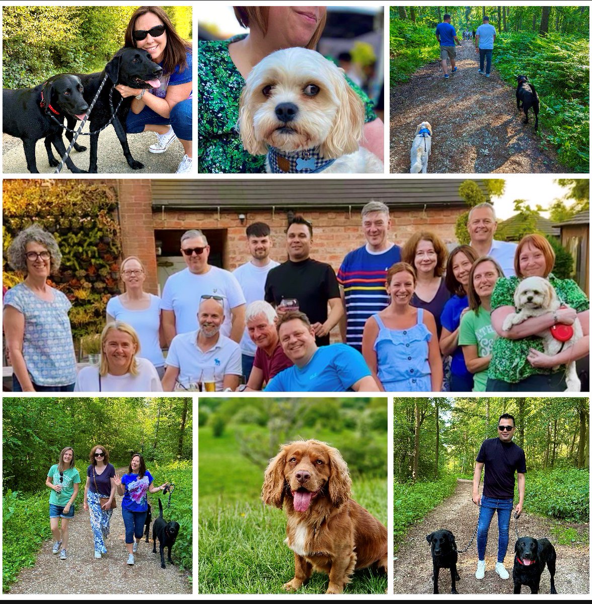 Staff at the Lichfield office took a stroll at Jackson Bank, accompanied by their adorable furry companions - Jack, Rocco, Bailey, &amp; Archie.  They then headed to The Meynell Ingram for pizza and treats for the dogs. 🐶  #lichfield #ilovemydog #walk
loom.ly/fVXw8uU