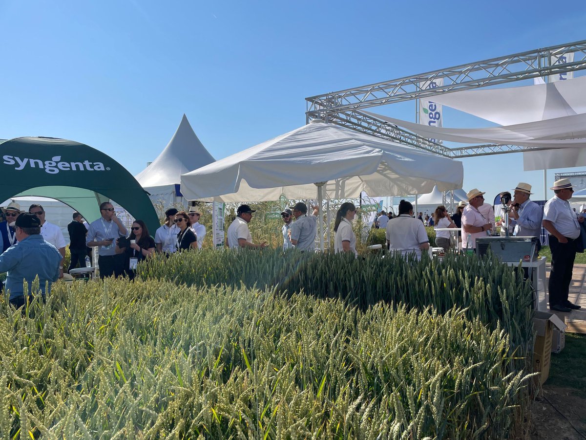 SyngentaFrance tweet media