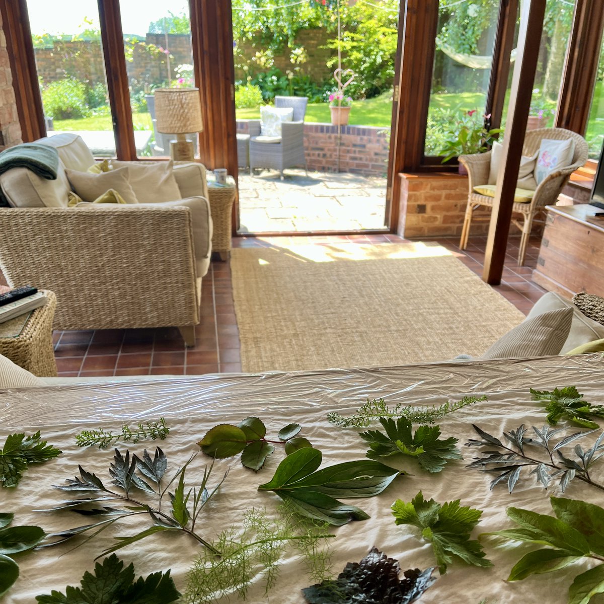 <a href="/BritishCrafting/">BritishCraftHouse</a> I'm eco printing in my garden room studio. It's a beautiful sunny morning and the birds are singing outside. I have just added some new silk scarves to my shop this week for the #tbchrelaunch thebritishcrafthouse.co.uk/shop-category/…