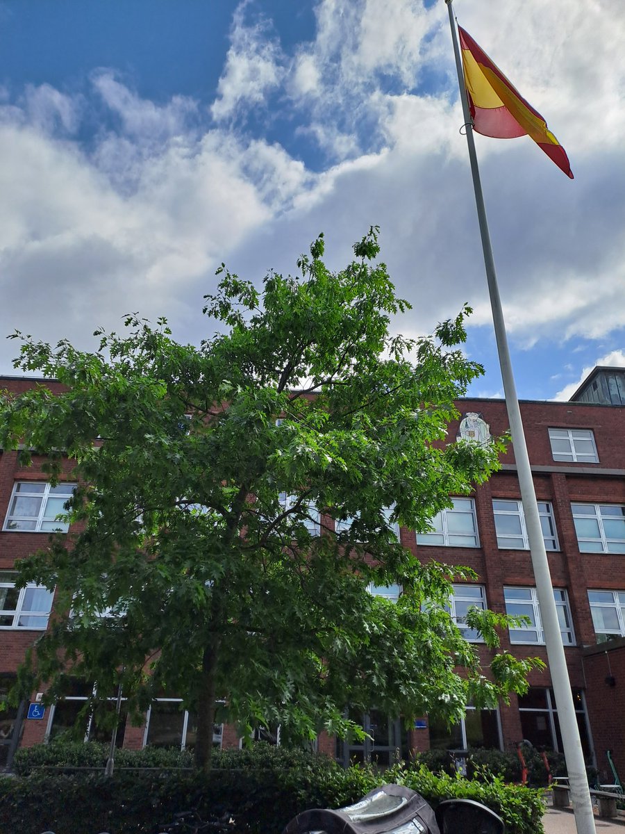 AlegriaBegoa's tweet photo. La bandera española ondea en la Universidad de Lund, Suecia, porque el hoy ya Doctor Juan Vidal Alegría ha defendido su tesis. Orgullo de la educación pública que ha recibido en España y de los méritos que le han traído aquí. Orgullo de madre @telecoupm @lunduniversity https://t.co/Oh2HQJsWGF
